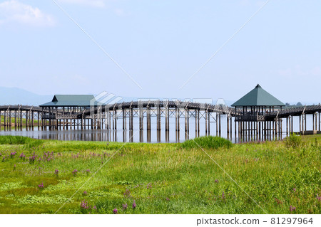 青森縣北津輕區鶴田町富士見湖鶴舞橋日本第一木三鼓橋 81297964