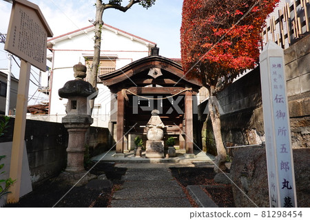 電正五丸古墓 81298454