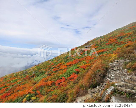 Gassan blue sky fog transparent clear autumn leaves 81298484