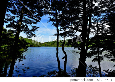 Shirakoma Pond in the primeval forest of Mt. Kita Yatsugatake, the highest lake in Japan 81298624