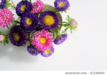 A space with flowers that makes you feel calm Astor Kogiku A space with flowers that makes you feel calm Astor Kogiku 81298699