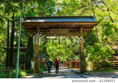Mt. Takao Joshinmon Mt. Takao Joshinmon 81299051