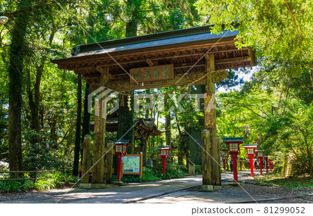 高尾上信門山 高尾上信門山 81299052