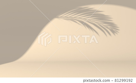 Empty studio with spot of light and shadow of palm Empty studio with spot of light and shadow of palm 81299192