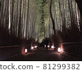 Arashiyama Flower Light Road 81299382