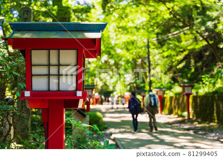 高尾山步道 81299405