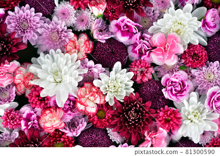 花盆裡的五顏六色的花 花盆裡的五顏六色的花 81300590