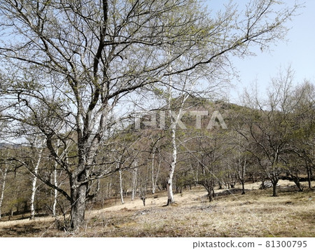 Gokurakuhei and Mt. Kentoku 81300795