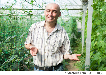 Serious man gardener standing near pea and soy seedlings Serious man gardener standing near pea and soy seedlings 81301038