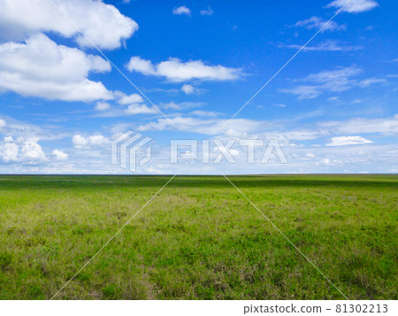 坦桑尼亞恩戈羅恩戈羅保護區熱帶草原氣候中草原與藍天的美麗對比 81302213