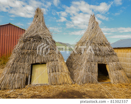 Two houses made of reed totora on the floating island of Lake Titicaca, Peru 81302337