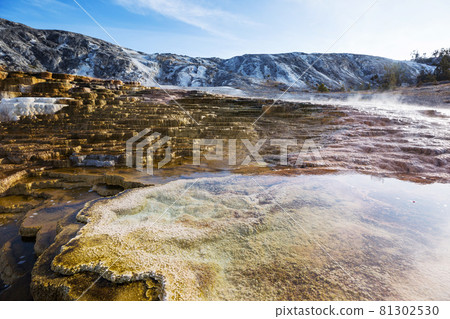 Mammoth Hot Springs Mammoth Hot Springs 81302530