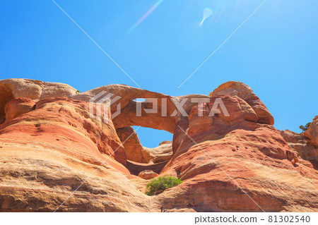 Arches in Colorado 81302540