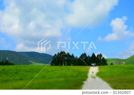 夏日之路藍天白雲 夏日之路藍天白雲 81302607