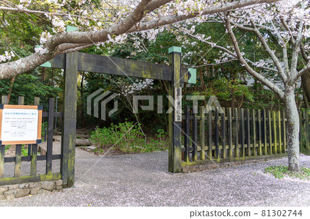 [Aichi Prefecture] Tahara Castle Ruins 81302744