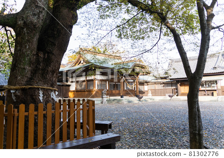 [愛知縣] 田原城跡 81302776