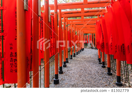 [Aichi Prefecture] Tahara Castle Ruins 81302779