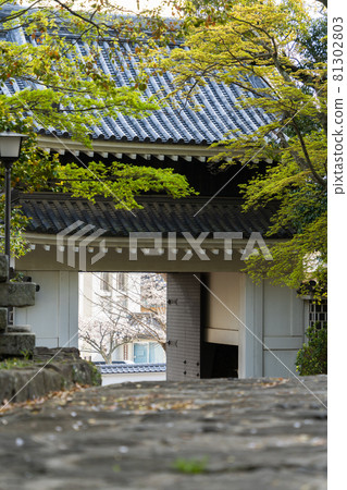 [Aichi Prefecture] Tahara Castle Ruins 81302803