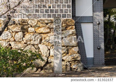 [Aichi Prefecture] Tahara Castle Ruins 81302837