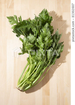 青芹菜 81302887