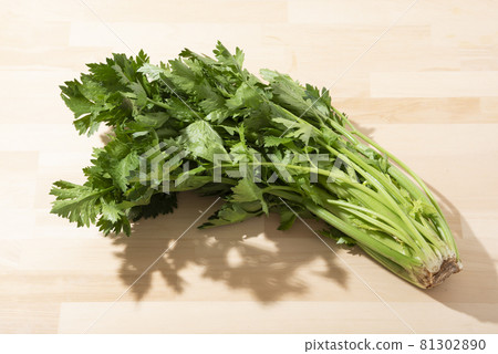 Green celery Green celery 81302890