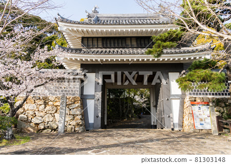 [Aichi Prefecture] Tahara Castle Ruins 81303148