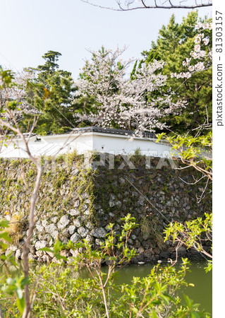 [Aichi Prefecture] Tahara Castle Ruins 81303157