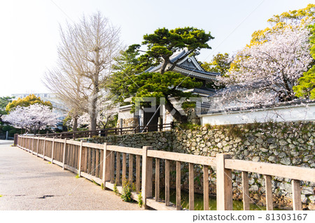 [Aichi Prefecture] Tahara Castle Ruins 81303167