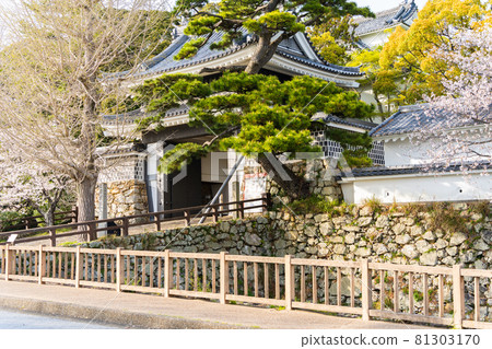 [Aichi Prefecture] Tahara Castle Ruins 81303170