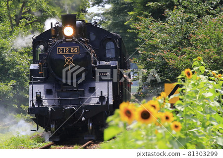Summer Moka Railway SL Summer Moka Railway SL 81303299