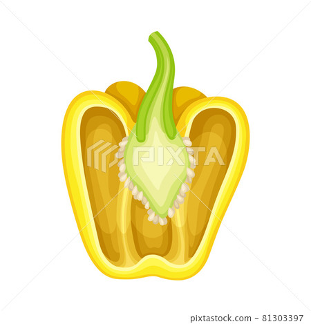 Half of Sweet Yellow Bell Pepper Vegetable Ingredient for Culinary Vector Illustration 81303397
