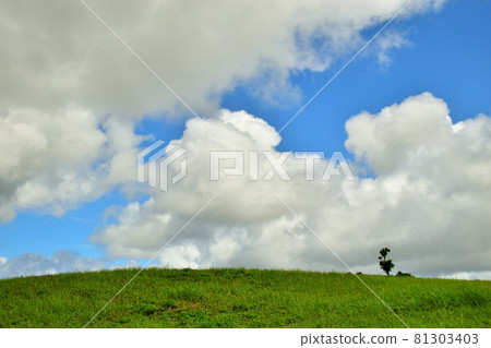 Blue sky, clouds and grasslands / Kurashiki Dam, Okinawa City, Okinawa Prefecture 81303403