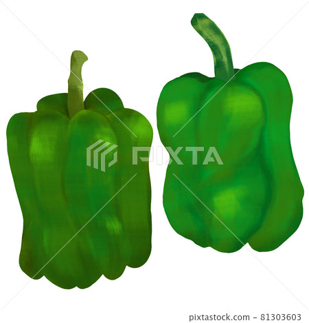 Bell pepper illustration hand drawn 81303603
