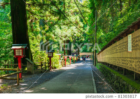 Takao Mountain Trail Takao Mountain Trail 81303817