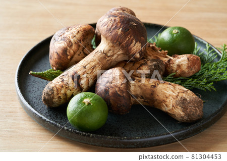 Matsutake mushrooms on a plate 81304453