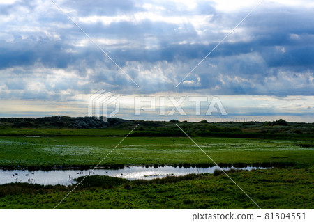 Nature reserve in northern Texel, the Netherlands Nature reserve in northern Texel, the Netherlands 81304551