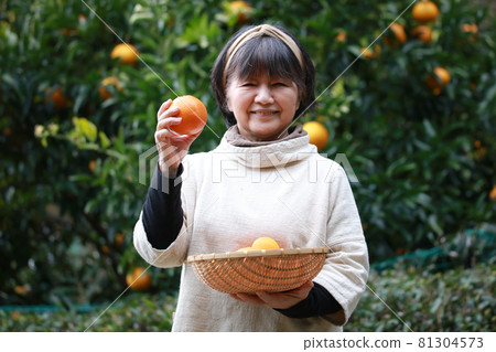 高級女人用桔子 81304573