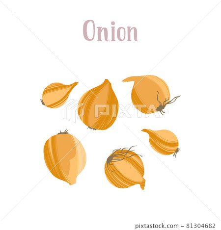 Different onions not shelled. Healthy nutrition product. Different onions not shelled. Healthy nutrition product. 81304682