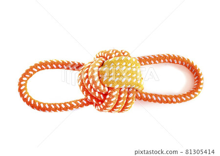 toy for dog toy for dog 81305414