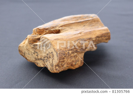 沉香柿子 4 81305766