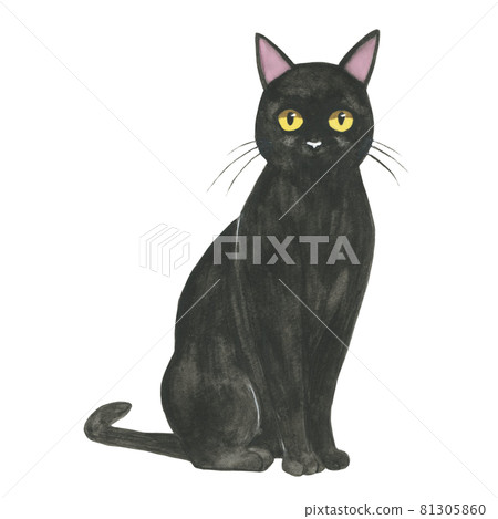 黑貓【手繪水彩】 81305860