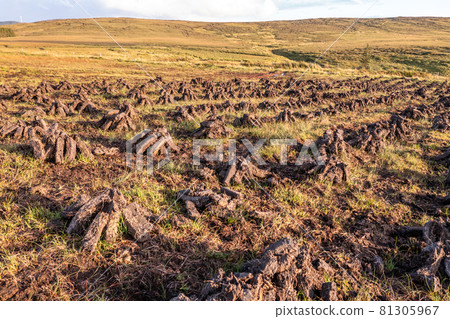 Peat piled on a peat bog in County Donegal - Ireland Peat piled on a peat bog in County Donegal - Ireland 81305967