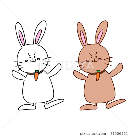 兔子的插圖 兔子的插圖 81306361