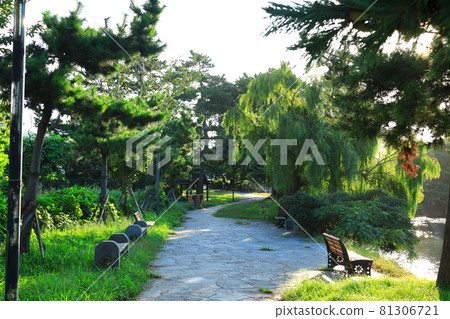 無須川，河流，溪流，石橋，柳樹，公園，休息， 81306721