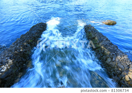 無須川,河流,溪流,石橋,柳樹,公園,休息, 無須川,河流,溪流,石橋,柳樹,公園,休息, 81306734