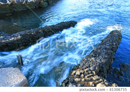 無須川,河流,溪流,石橋,柳樹,公園,休息, 無須川,河流,溪流,石橋,柳樹,公園,休息, 81306735