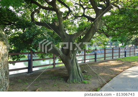 Streams, rivers, streams, stone bridges, willow trees, parks, resting places, Streams, rivers, streams, stone bridges, willow trees, parks, resting places, 81306743