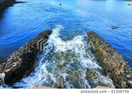 無須川,河流,溪流,石橋,柳樹,公園,休息, 無須川,河流,溪流,石橋,柳樹,公園,休息, 81306749
