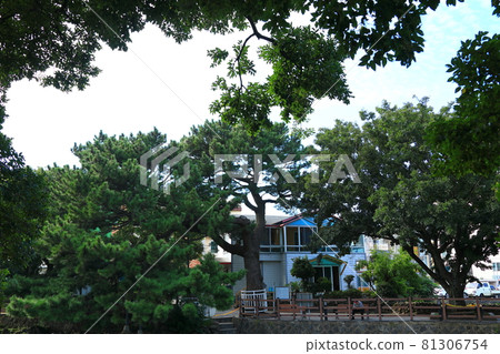 無須川,河流,溪流,石橋,柳樹,公園,休息, 無須川,河流,溪流,石橋,柳樹,公園,休息, 81306754
