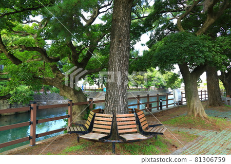 無須川，河流，溪流，石橋，柳樹，公園，休息， 81306759